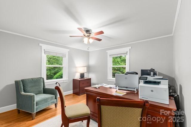 306 Tremont Park Cir SE, Lenoir, NC 28645 - home office featuring ceiling fan, light wood-style floors, ornamental molding, and baseboards