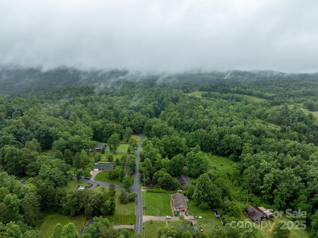 306 Tremont Park Cir SE, Lenoir, NC 28645 - bird's eye view of a forest