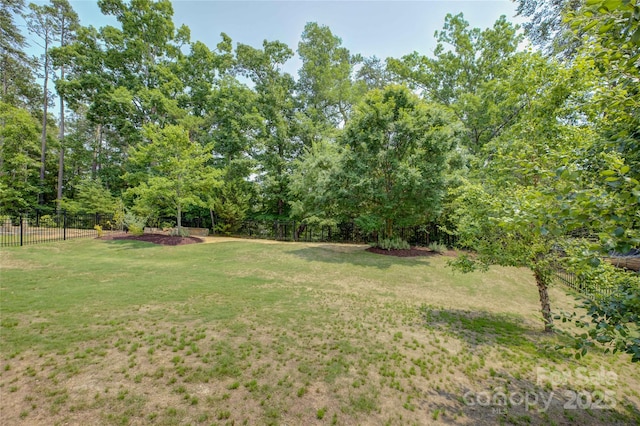 15344 Cimarron Hills Ln, Charlotte, NC 28278 - photo 37