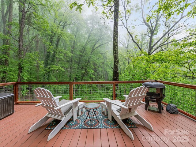6321 NC-63 Hwy, Leicester, NC 28748 - photo 18
