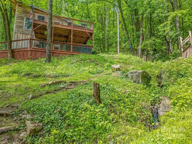 6321 NC-63 Hwy, Leicester, NC 28748 - photo 34