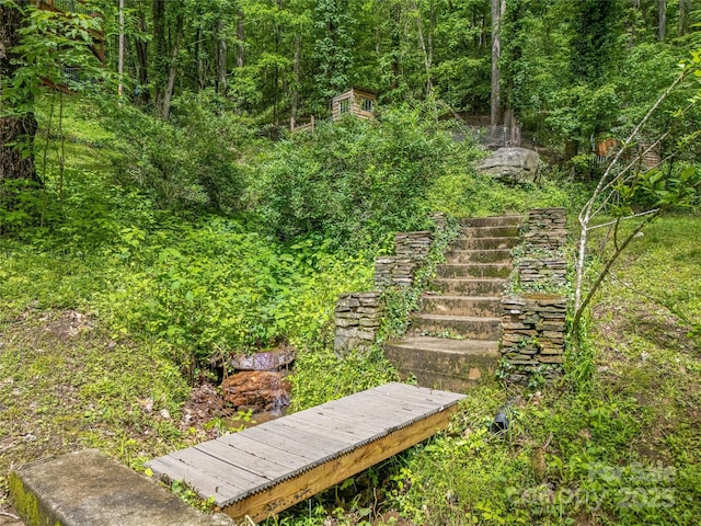 6321 NC-63 Hwy, Leicester, NC 28748 - photo 36