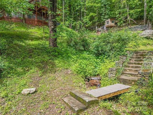 6321 NC-63 Hwy, Leicester, NC 28748 - photo 37
