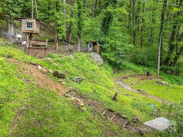 6321 NC-63 Hwy, Leicester, NC 28748 - photo 41