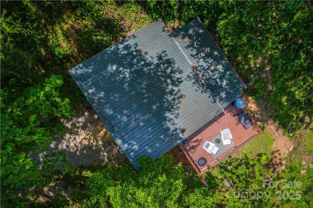 6321 NC-63 Hwy, Leicester, NC 28748 - photo 45