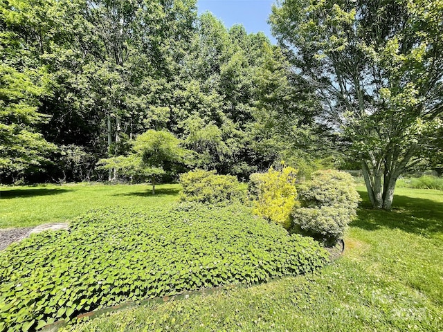 35 Sheffield Pl, Brevard, NC 28712 - photo 40