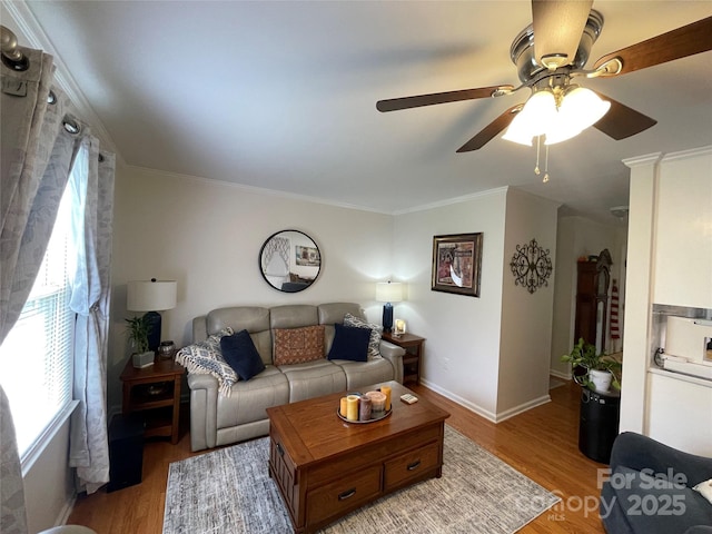 311 Tiffany St NW, Concord, NC 28027 - living area featuring a ceiling fan, healthy amount of natural light, light wood-type flooring, ornamental molding, and baseboards