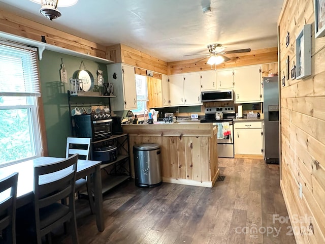 3503 Wyndham Ln, Lenoir, NC 28645 - kitchen featuring appliances with stainless steel finishes, a peninsula, ceiling fan, and plenty of natural light
