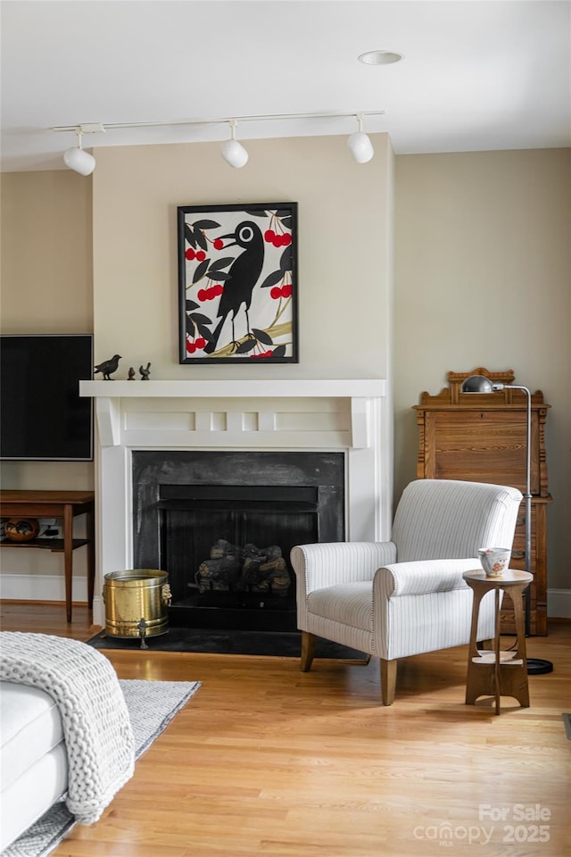 4 Fitzgerald Rd, Black Mountain, NC 28711 - sitting room featuring a fireplace, track lighting, and wood finished floors