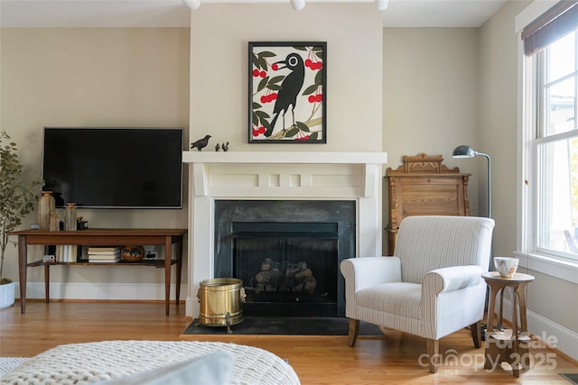 4 Fitzgerald Rd, Black Mountain, NC 28711 - bedroom with wood finished floors, multiple windows, a fireplace with flush hearth, and baseboards
