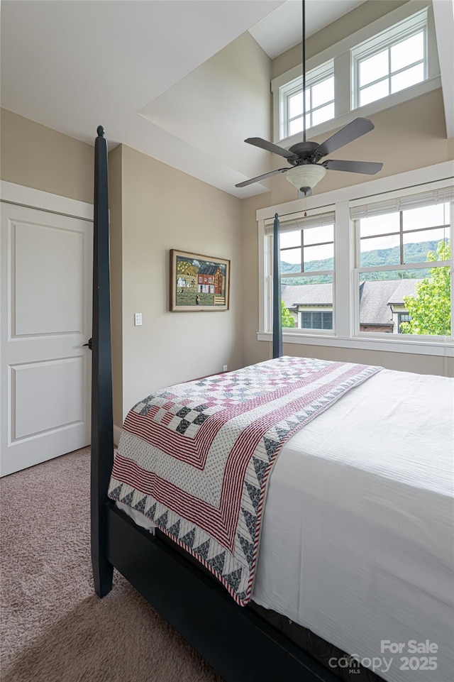 4 Fitzgerald Rd, Black Mountain, NC 28711 - bedroom featuring carpet floors, multiple windows, and ceiling fan