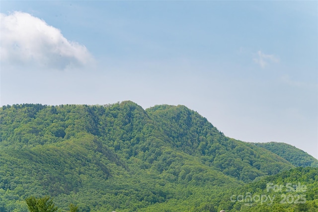 4 Fitzgerald Rd, Black Mountain, NC 28711 - view of mountain background with a forest