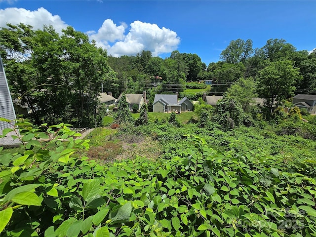 16 Village E Ct, Asheville, NC 28805 - photo 1
