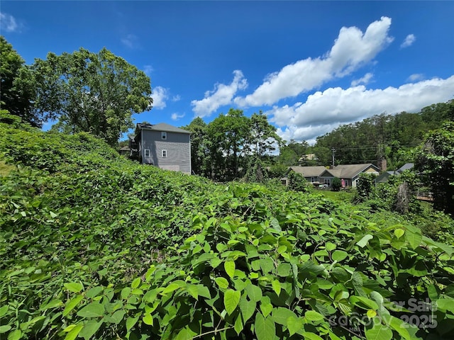 16 Village E Ct, Asheville, NC 28805 - photo 10