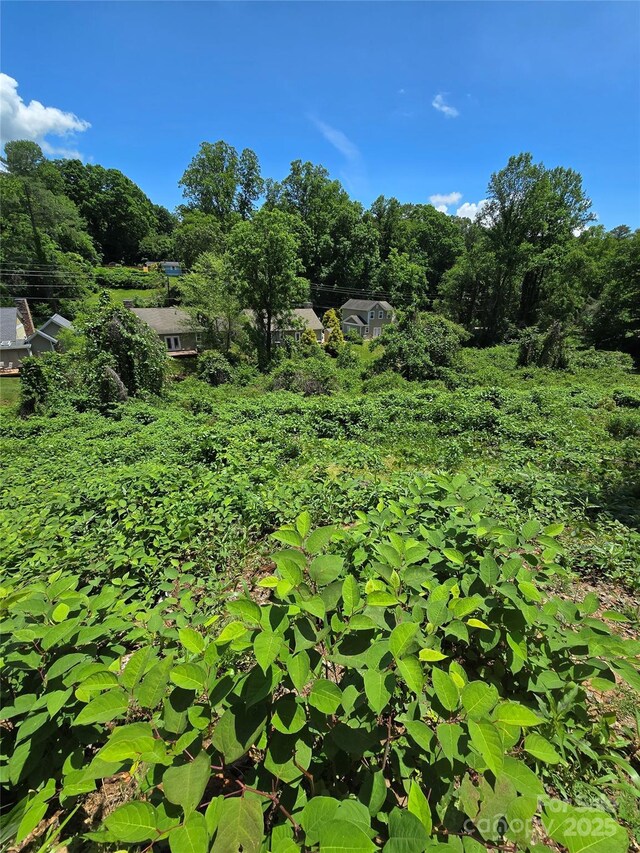 16 Village E Ct, Asheville, NC 28805 - photo 11