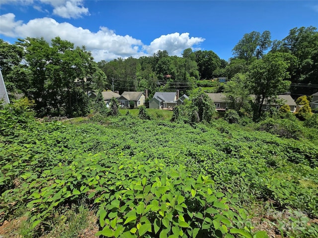 16 Village E Ct, Asheville, NC 28805 - photo 12