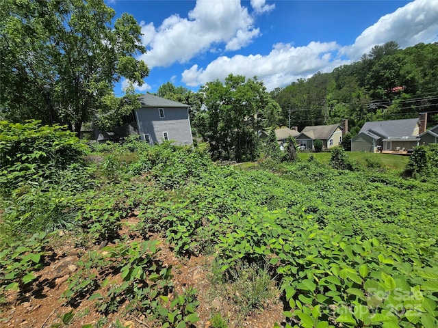 16 Village E Ct, Asheville, NC 28805 - photo 13