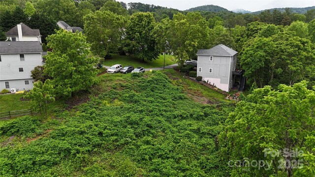 16 Village E Ct, Asheville, NC 28805 - photo 15