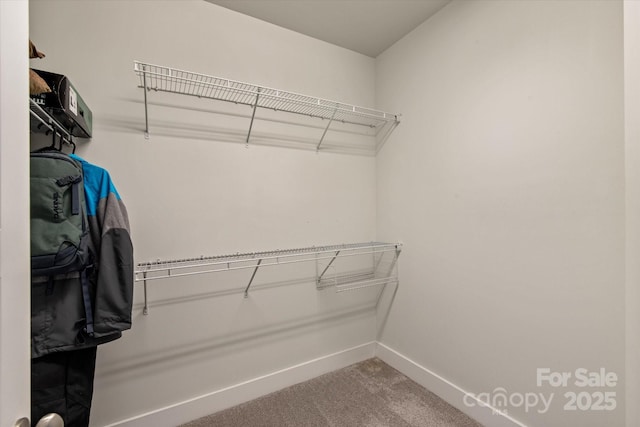 1244 Weir Ct, Fort Mill, SC 29708 - walk in closet featuring carpet