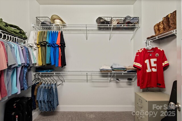 1244 Weir Ct, Fort Mill, SC 29708 - spacious closet with carpet