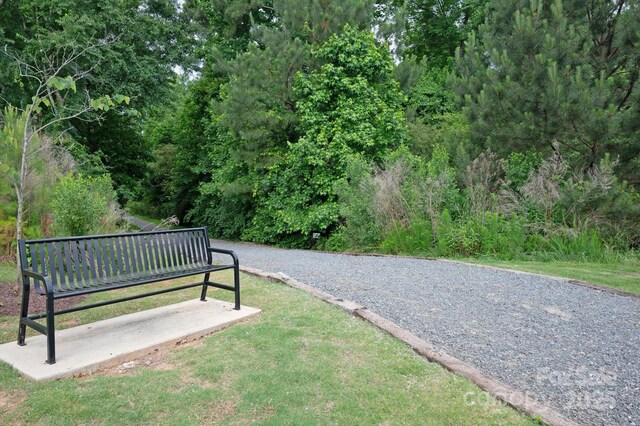 1244 Weir Ct, Fort Mill, SC 29708 - surrounding community featuring a yard