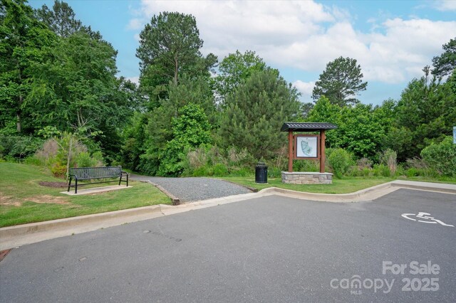 1244 Weir Ct, Fort Mill, SC 29708 - view of road with curbs