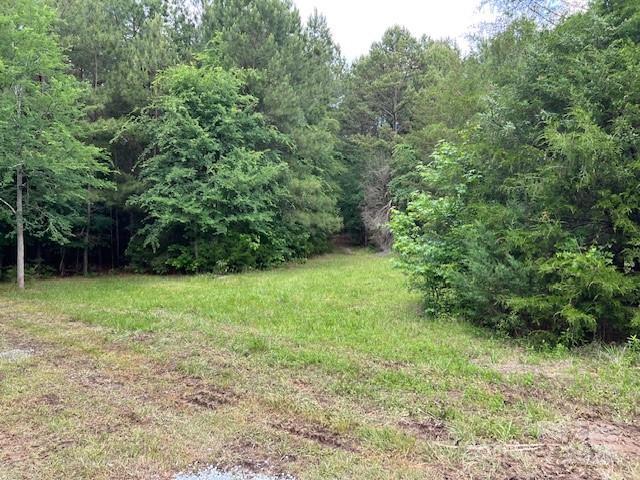 0 Lonnie Walker Rd, Waxhaw, NC 28173