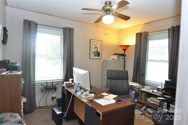 3505 Valley Dr, Chester, SC 29706 - home office with plenty of natural light, ceiling fan, and carpet floors