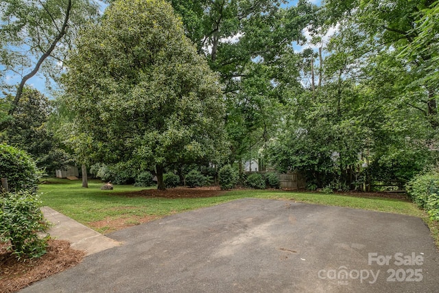 5926 Sharon Rd, Charlotte, NC 28210 - view of yard featuring a patio area and view of scattered trees