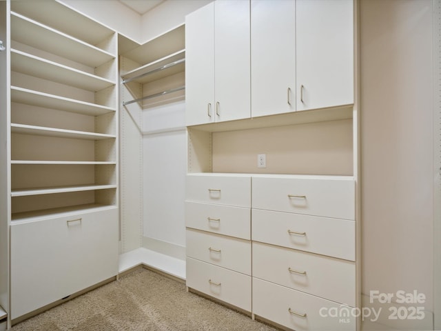 5805 Copperleaf Commons Ct, Charlotte, NC 28277 - walk in closet featuring light colored carpet