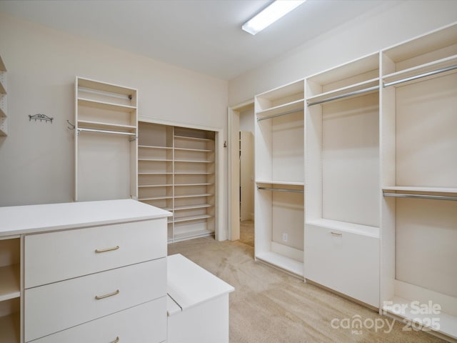 5805 Copperleaf Commons Ct, Charlotte, NC 28277 - walk in closet with light carpet