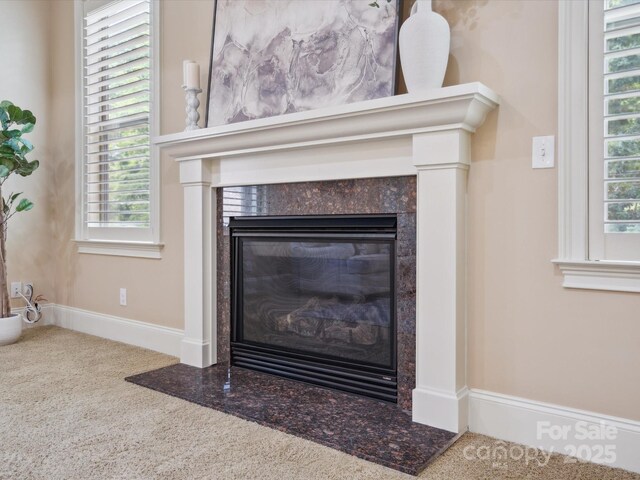 5805 Copperleaf Commons Ct, Charlotte, NC 28277 - detailed view of a fireplace and carpet flooring