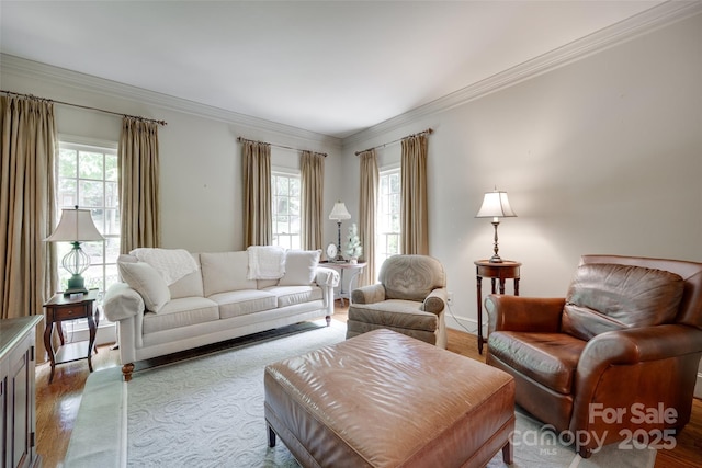 10215 Balmoral Cir, Charlotte, NC 28210 - living room with wood finished floors and crown molding