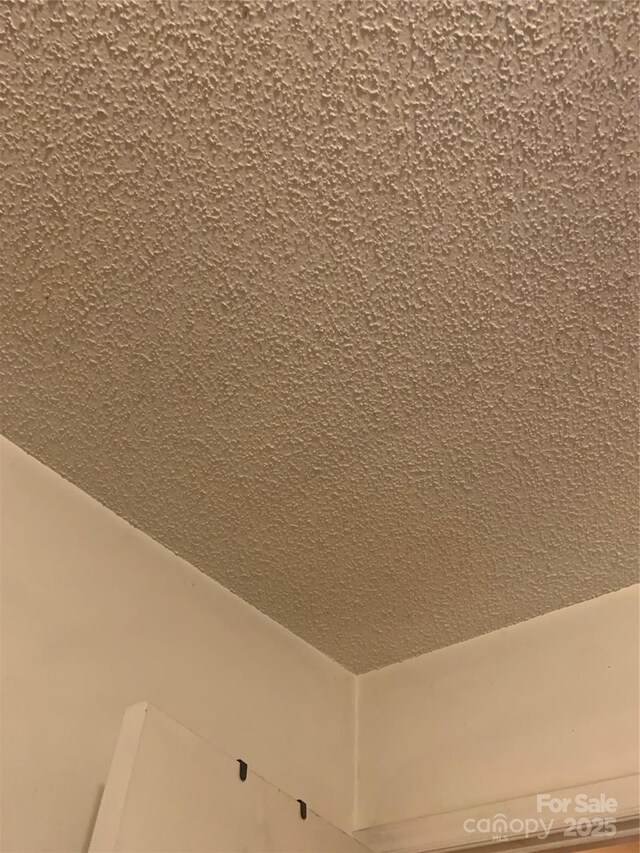 5816 Rocky Mount Ct, Charlotte, NC 28214 - detailed view of a textured ceiling