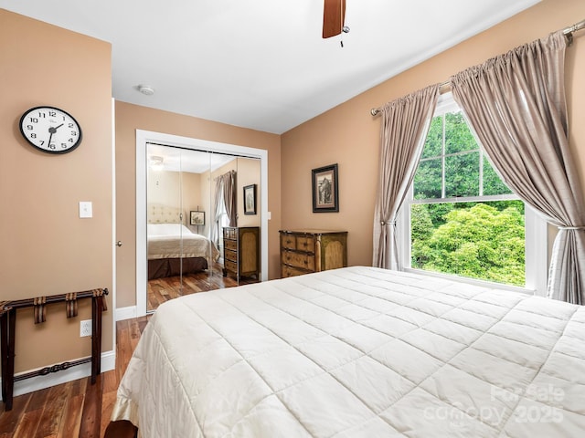 1165 Mountain Laurel Dr, Columbus, NC 28722 - bedroom with dark wood-type flooring, a closet, ceiling fan, and baseboards