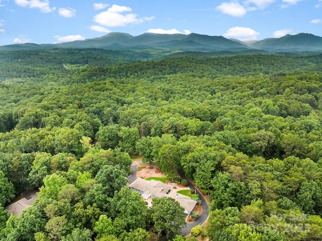 1165 Mountain Laurel Dr, Columbus, NC 28722 - aerial view of a forest and mountains