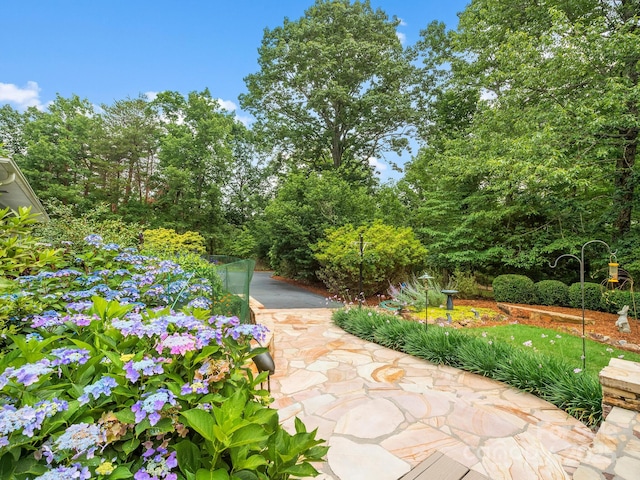 1165 Mountain Laurel Dr, Columbus, NC 28722 - view of patio