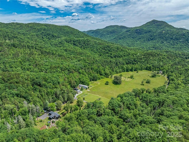 400 Kings Dr, Lake Lure, NC 28746 - bird's eye view of a forest and mountains