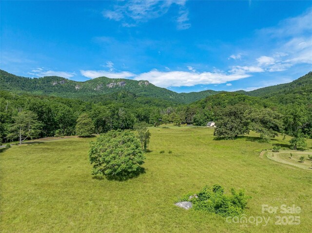 400 Kings Dr, Lake Lure, NC 28746 - view of mountain background featuring a forest