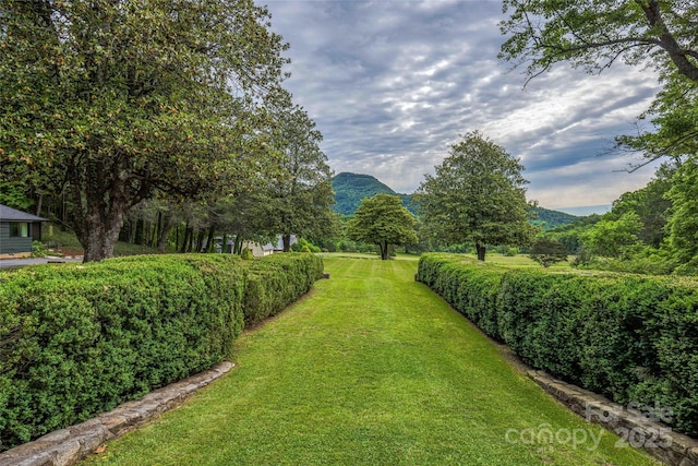 400 Kings Dr, Lake Lure, NC 28746 - view of green lawn with a mountain view