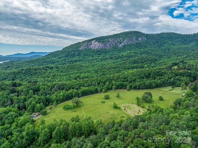 400 Kings Dr, Lake Lure, NC 28746 - mountain view with a forest