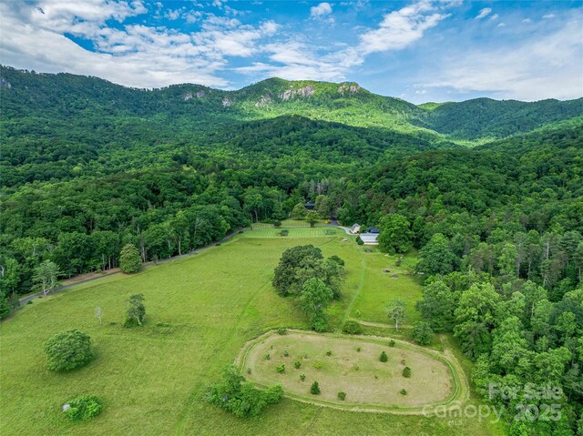 400 Kings Dr, Lake Lure, NC 28746 - drone / aerial view of a mountain backdrop and a forest