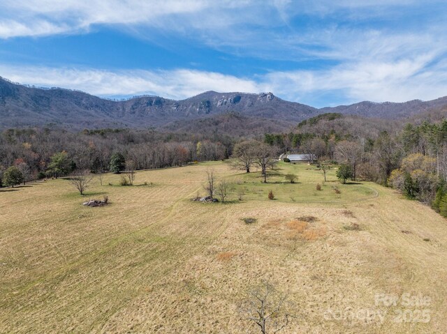 400 Kings Dr, Lake Lure, NC 28746 - view of mountain backdrop with rural landscape