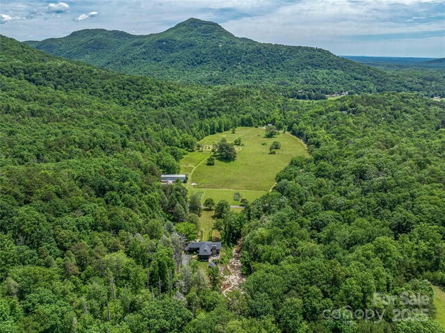 400 Kings Dr, Lake Lure, NC 28746 - bird's eye view of a forest and a mountain backdrop