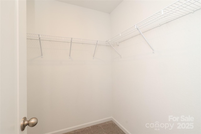 3349 Ellingford Rd, Charlotte, NC 28214 - spacious closet featuring carpet floors