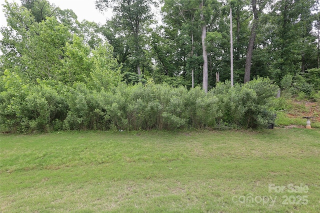 3349 Ellingford Rd, Charlotte, NC 28214 - view of green lawn