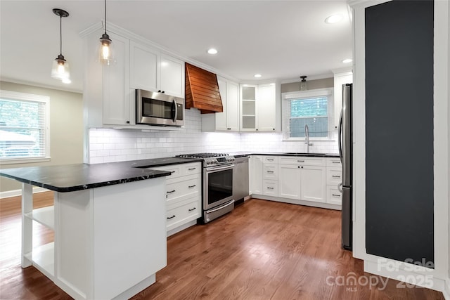 3624 Moultrie St, Charlotte, NC 28209 - kitchen featuring stainless steel appliances, custom range hood, a peninsula, a sink, and dark countertops