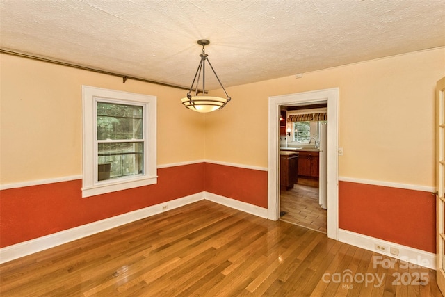 20 Kenilwood Pl, Asheville, NC 28803 - empty room with wood finished floors, baseboards, and a textured ceiling