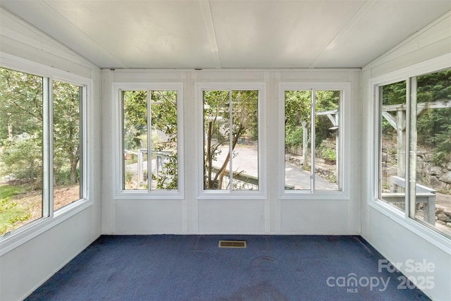 20 Kenilwood Pl, Asheville, NC 28803 - unfurnished sunroom with vaulted ceiling, healthy amount of natural light, and carpet floors