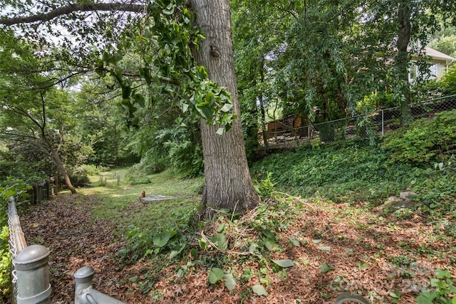 20 Kenilwood Pl, Asheville, NC 28803 - view of yard